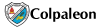 Demo